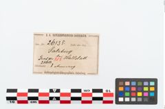 Etikett zu Bronzemelonenarmreif (NHMW-PRAE-026135)